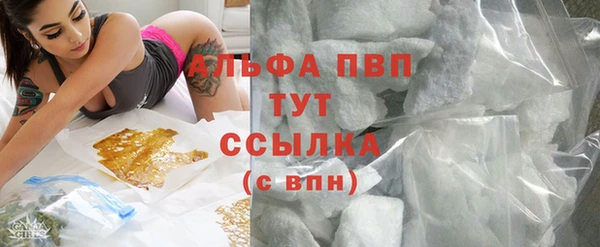дживик Абаза