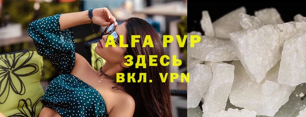дживик Абаза