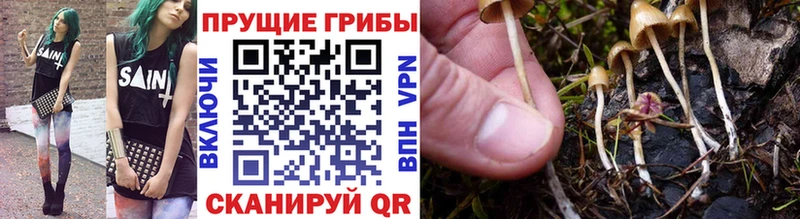 МЕГА маркетплейс  Яранск  Галлюциногенные грибы ЛСД 